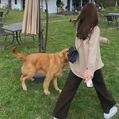 链锯人剧场版：蕾塞篇